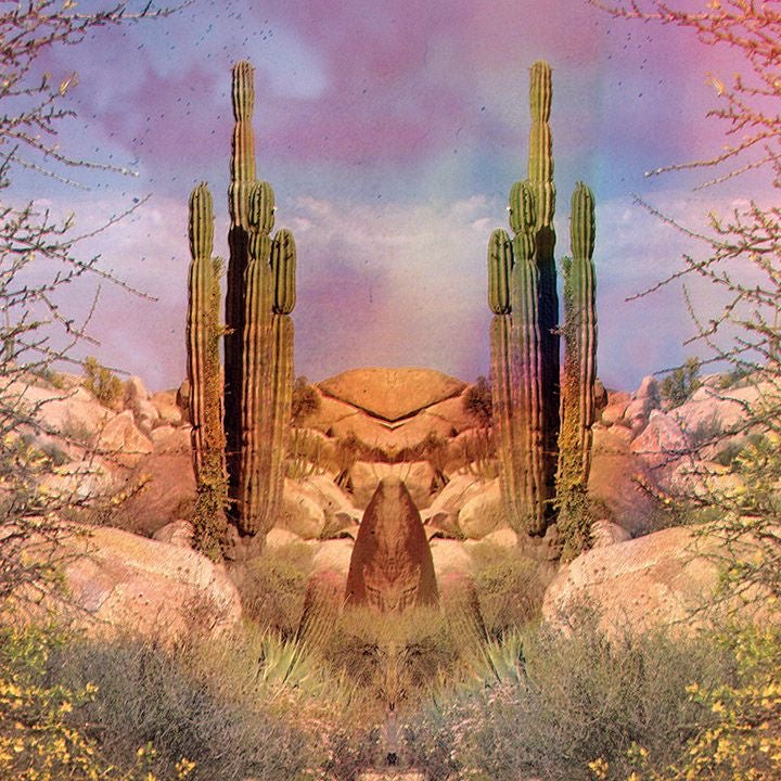 Signature Natal and Forecast (Transit) Reading