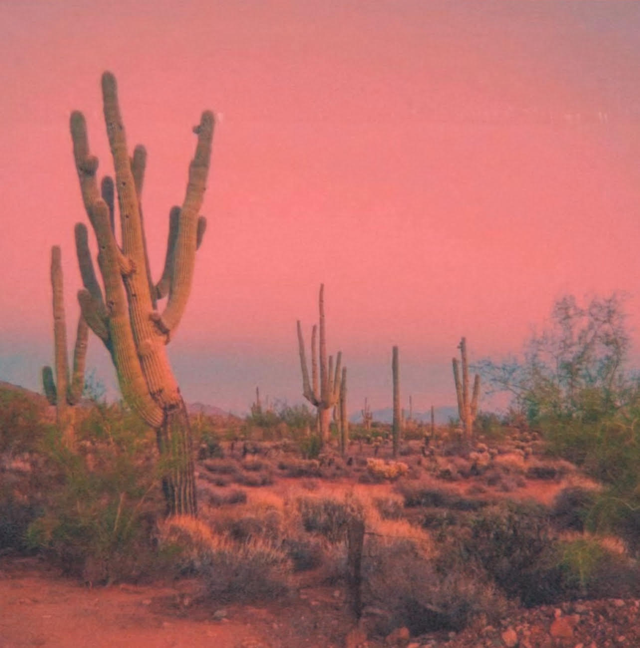 Horary + Follow-up Reading